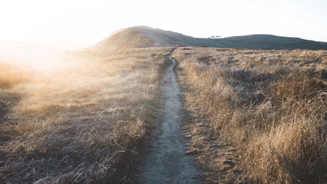 the path back — one step at a time